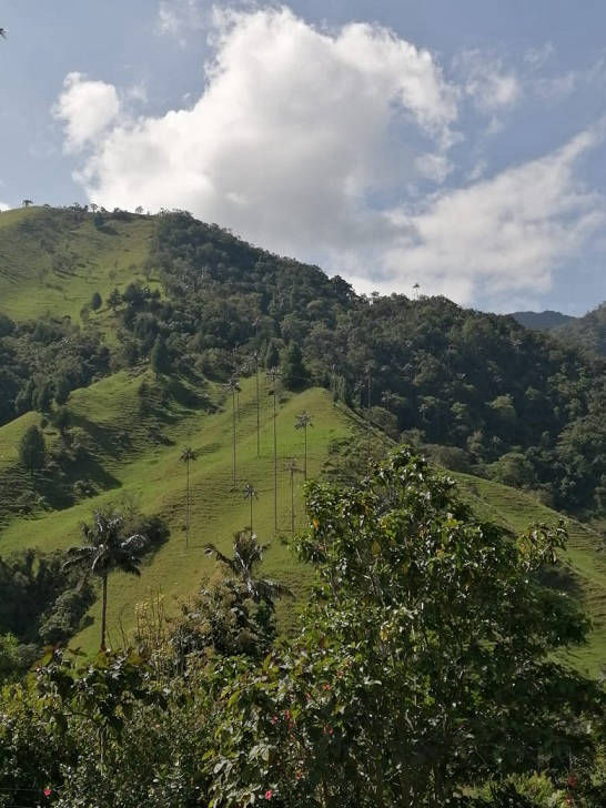 Vacaciones en Medellín